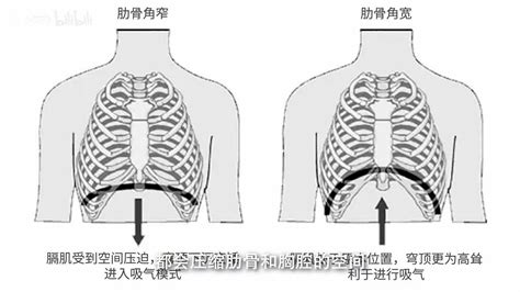 凸出 突出|突出凸出：用對更好